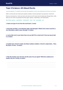 Free Rocks Assessment | Year 4 Supported | BookFlik