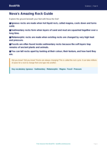 Free Rocks and Soils Poster | Year 4 Science Worksheet | BookFlik