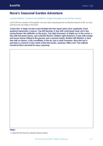 Free Seasonal Changes Colouring Page | EYFS Core | BookFlik
