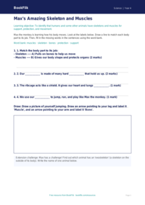 Free Skeleton And Muscles Activity Sheet | Year 4 Supported | BookFlik
