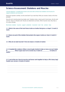 Free Skeleton And Muscles Assessment | Year 4 Supported | BookFlik