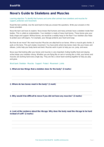 Free Skeleton And Muscles Comprehension | Year 4 Supported | BookFlik