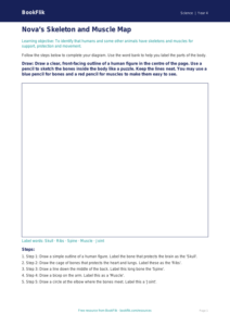 Free Skeleton And Muscles Drawing Sheet | Year 4 Supported | BookFlik
