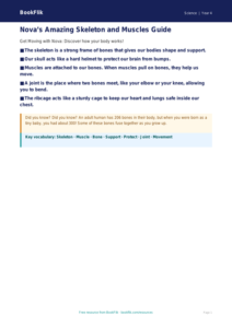 Free Skeleton And Muscles Poster | Year 4 Supported | BookFlik