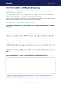 Free Skeleton And Muscles Worksheet | Year 4 Supported | BookFlik