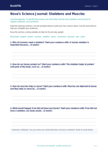 Free Skeleton And Muscles Writing Frame | Year 4 Supported | BookFlik
