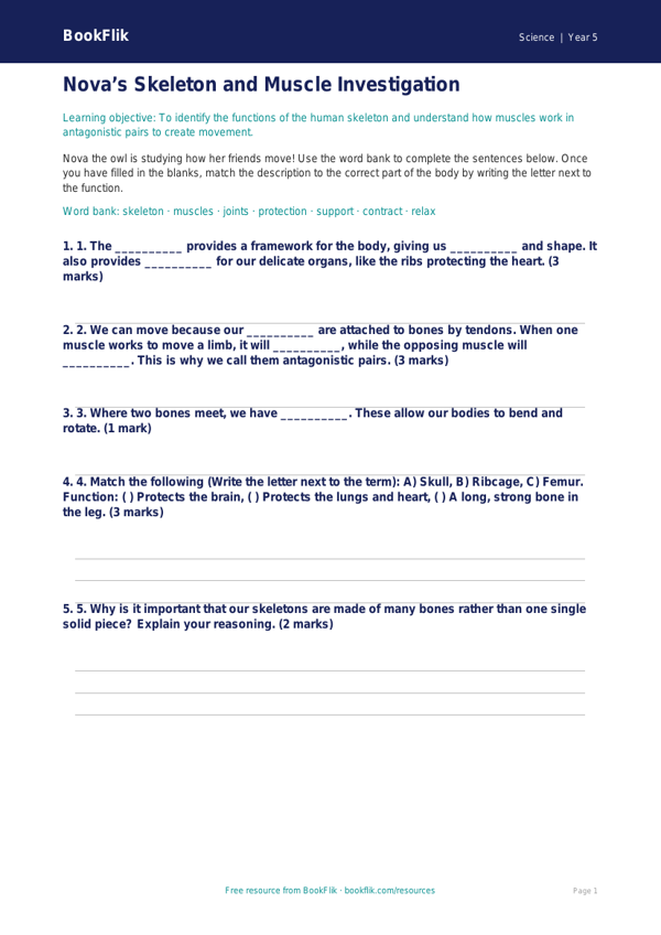 Free Skeleton And Muscles Activity Sheet | Year 5 Core | BookFlik worksheet preview — Science Skeleton And Muscles