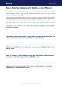 Free Skeleton And Muscles Assessment | Year 5 Core | BookFlik