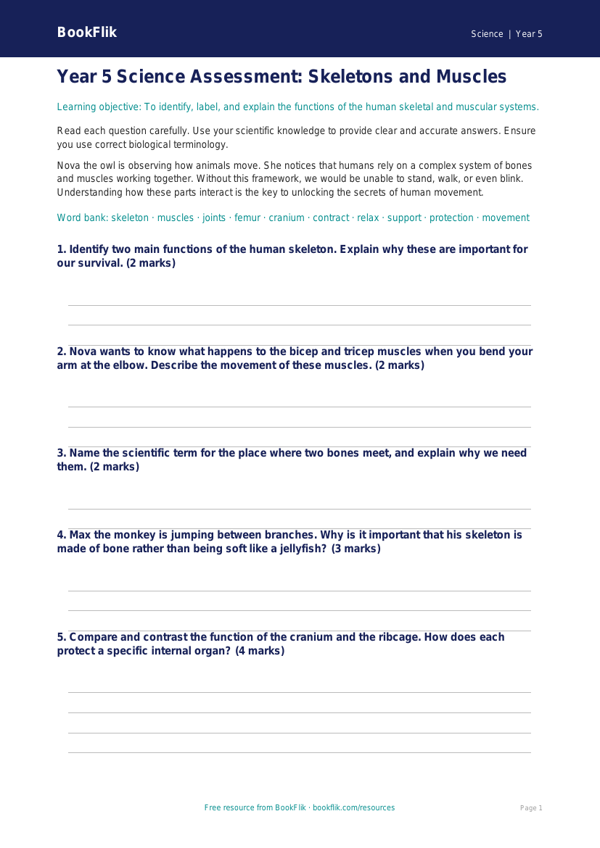 Free Skeleton And Muscles Assessment | Year 5 Core | BookFlik worksheet preview — Science Skeleton And Muscles