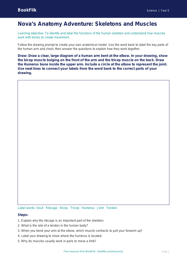 Free Skeleton And Muscles Drawing Sheet | Year 5 Core | BookFlik worksheet preview — Science Skeleton And Muscles