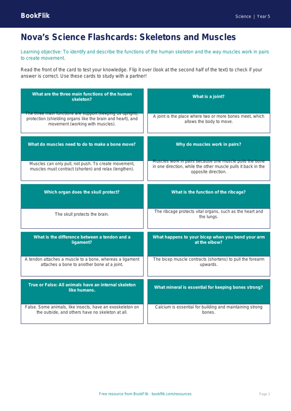 Free Skeleton And Muscles Flashcards | Year 5 Core | BookFlik worksheet preview — Science Skeleton And Muscles
