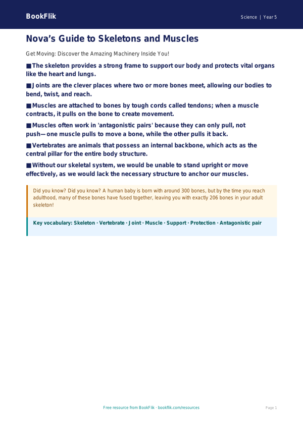 Free Skeleton And Muscles Poster | Year 5 Core | BookFlik worksheet preview — Science Skeleton And Muscles