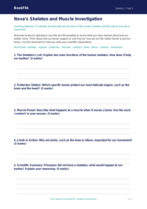 Free Skeleton And Muscles Template | Year 5 Core | BookFlik