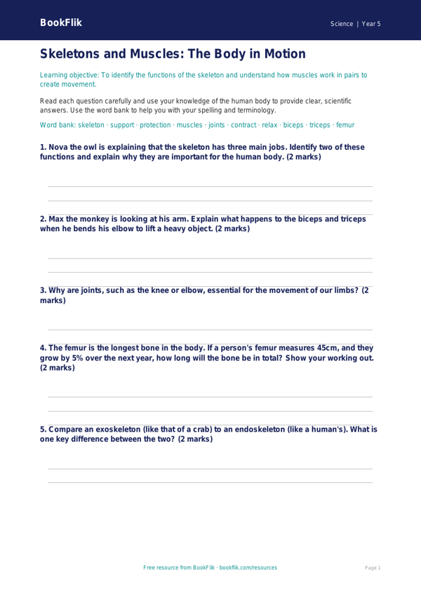 Free Skeleton And Muscles Worksheet | Year 5 Core | BookFlik worksheet preview — Science Skeleton And Muscles