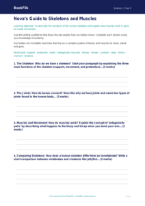 Free Skeleton And Muscles Writing Frame | Year 5 Core | BookFlik