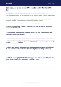 Free Sound Assessment | Year 4 Supported | BookFlik