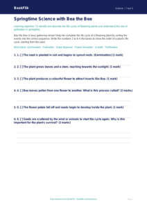 Free Spring Science Activity Sheet | Year 5 Core | BookFlik