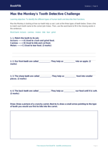 Free Teeth Activity Sheet | Year 4 Supported | BookFlik