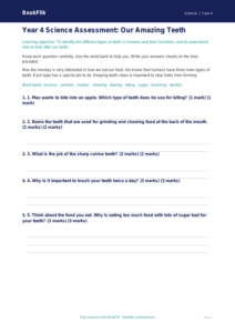 Free Teeth Assessment | Year 4 Supported | BookFlik