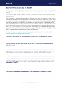 Free Teeth Comprehension | Year 4 Supported | BookFlik