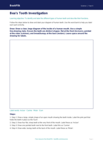 Free Teeth Drawing Sheet | Year 4 Supported | BookFlik