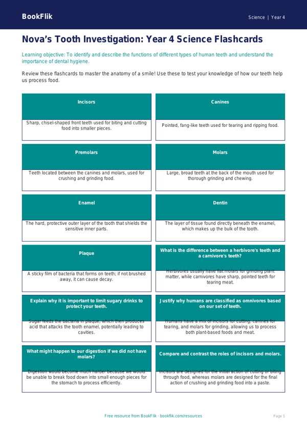 Free Teeth Flashcards | Year 4 Greater Depth | BookFlik worksheet preview — Science Teeth