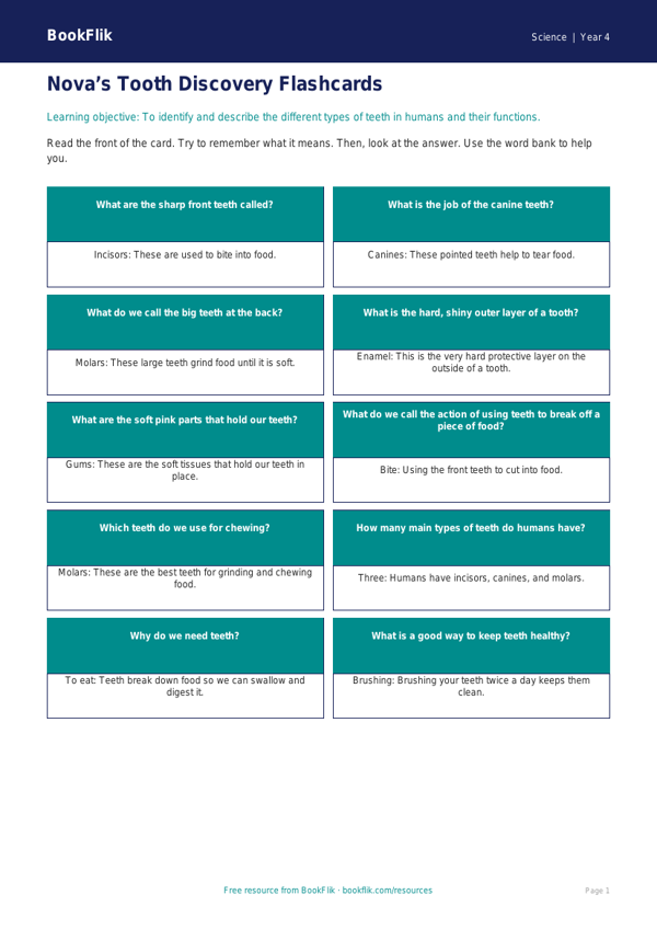 Free Teeth Flashcards | Year 4 Supported | BookFlik worksheet preview — Science Teeth