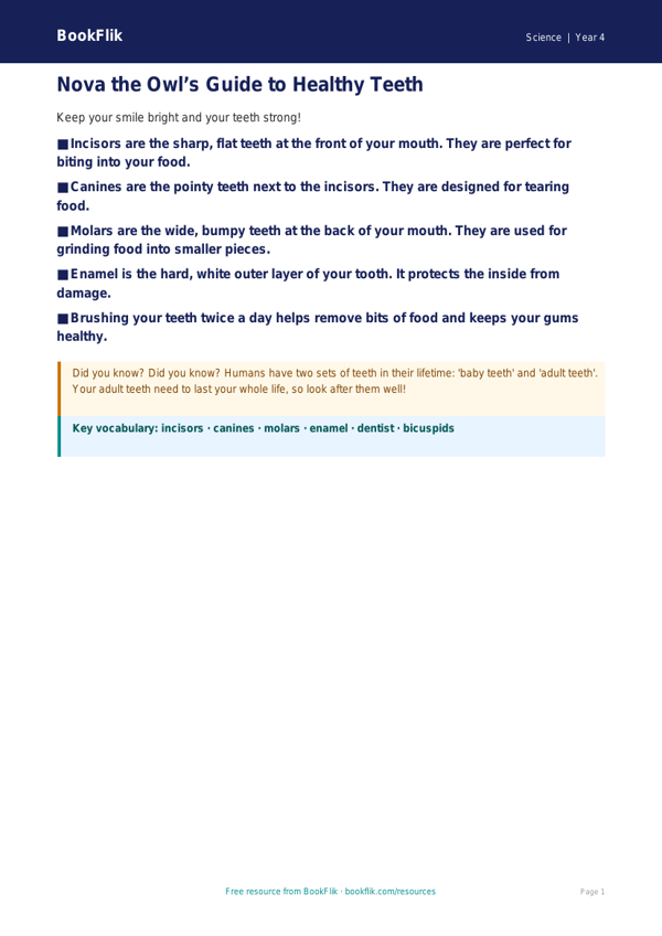 Free Teeth Poster | Year 4 Supported | BookFlik worksheet preview — Science Teeth