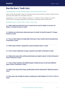 Free Teeth Quiz | Year 4 Supported | BookFlik