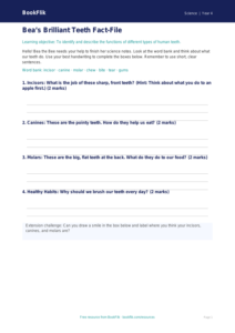 Free Teeth Template | Year 4 Supported | BookFlik