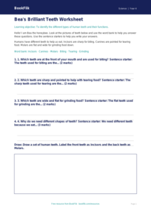 Free Teeth Worksheet | Year 4 Supported | BookFlik