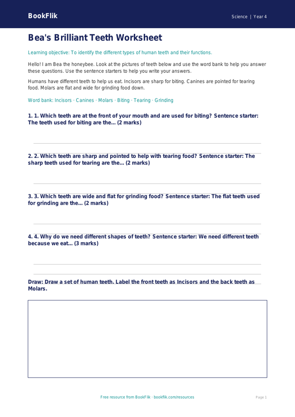 Free Teeth Worksheet | Year 4 Supported | BookFlik worksheet preview — Science Teeth