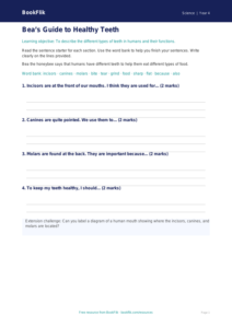 Free Teeth Writing Frame | Year 4 Supported | BookFlik