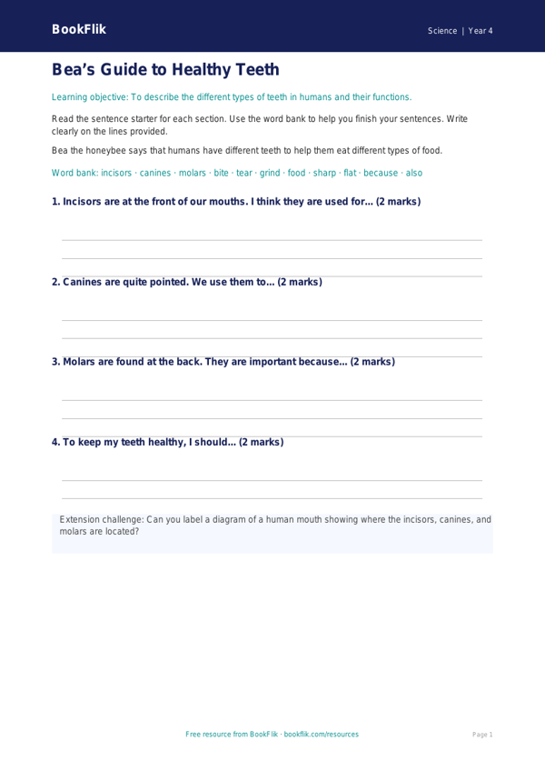 Free Teeth Writing Frame | Year 4 Supported | BookFlik worksheet preview — Science Teeth