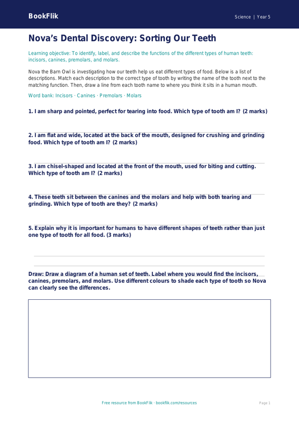 Free Teeth Activity Sheet | Year 5 Core | BookFlik worksheet preview — Science Teeth