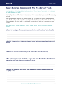 Free Teeth Assessment | Year 5 Core | BookFlik
