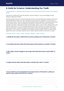 Free Teeth Comprehension | Year 5 Core | BookFlik