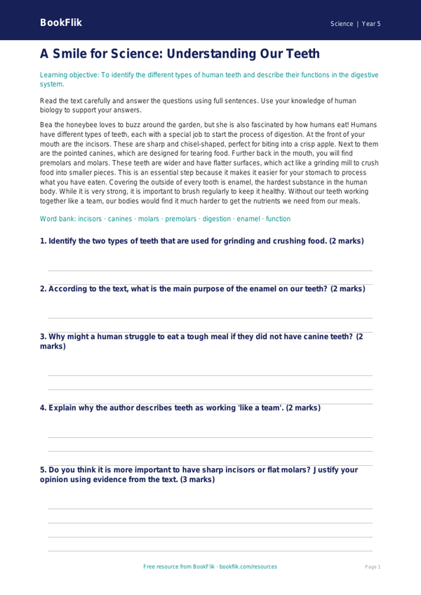 Free Teeth Comprehension | Year 5 Core | BookFlik worksheet preview — Science Teeth