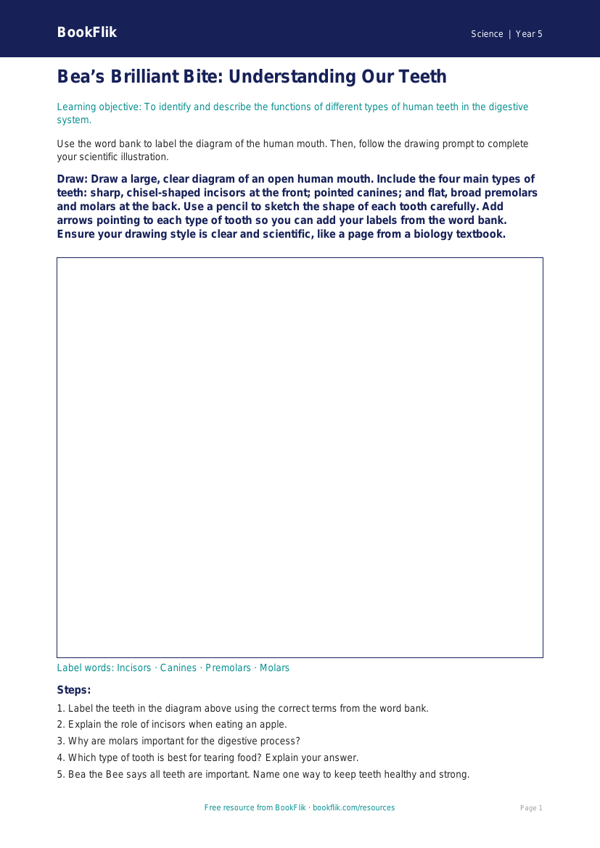 Free Teeth Drawing Sheet | Year 5 Core | BookFlik worksheet preview — Science Teeth
