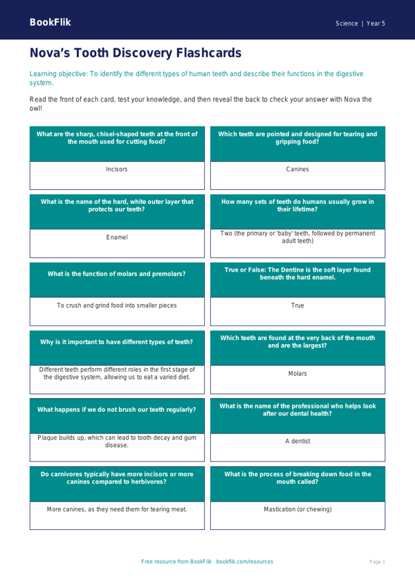 Free Teeth Flashcards | Year 5 Core | BookFlik worksheet preview — Science Teeth
