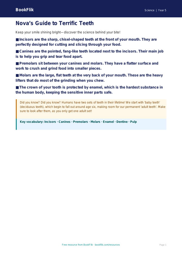 Free Teeth Poster | Year 5 Core | BookFlik worksheet preview — Science Teeth