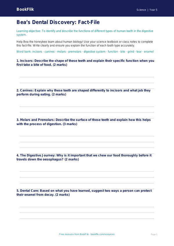Free Teeth Template | Year 5 Core | BookFlik worksheet preview — Science Teeth