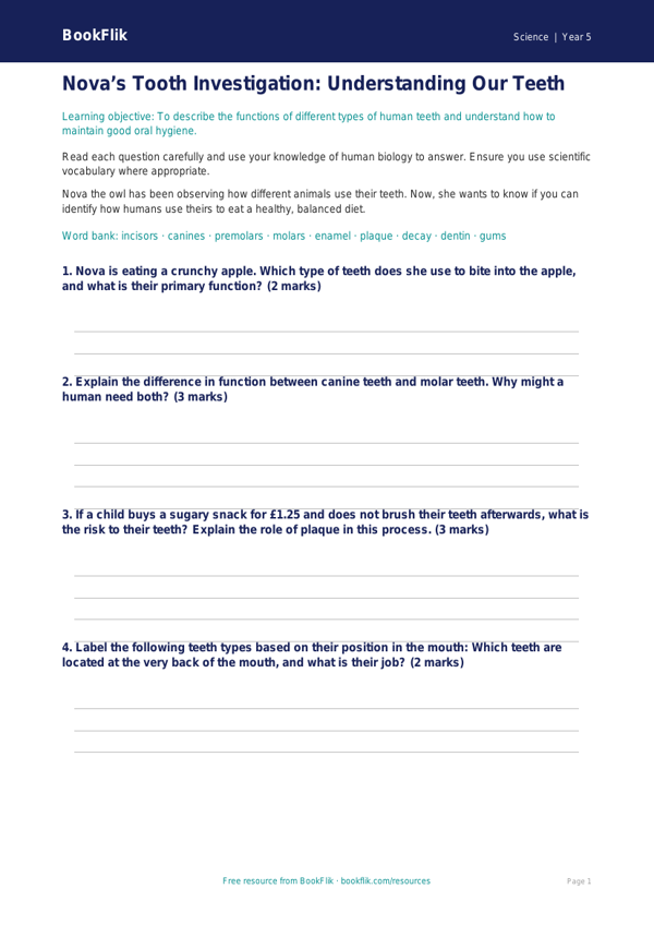 Free Teeth Worksheet | Year 5 Core | BookFlik worksheet preview — Science Teeth