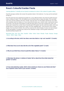 Free Colours Comprehension | Year 5 Core | BookFlik