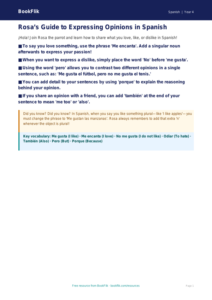 Free Opinion Phrases Poster | Year 4 Greater Depth | BookFlik
