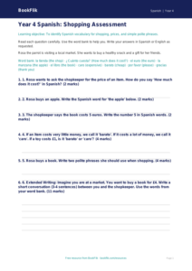 Free Shopping Assessment | Year 4 Supported | BookFlik