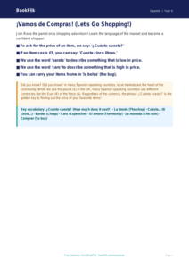Free Shopping Poster | Year 4 Greater Depth | BookFlik