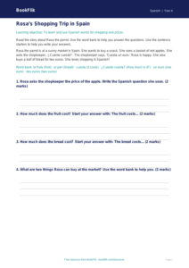 Free Shopping Track Sheet | Year 4 Supported | BookFlik