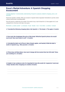 Free Shopping Assessment | Year 5 Core | BookFlik