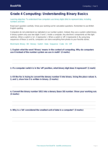 Free Binary Assessment | Grade 4 | Computing | BookFlik